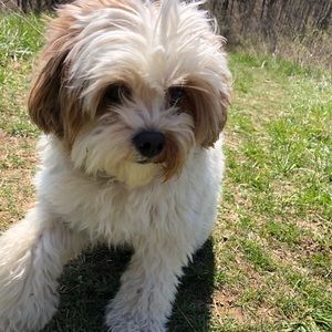 Meet your Posher, Rasleen